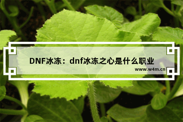 DNF冰冻：dnf冰冻之心是什么职业