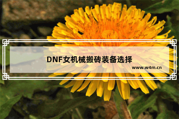 DNF女机械搬砖装备选择