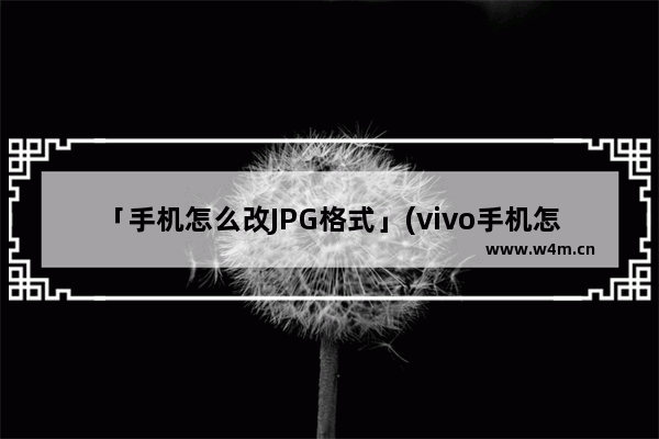 「手机怎么改JPG格式」(vivo手机怎么改jpg格式)