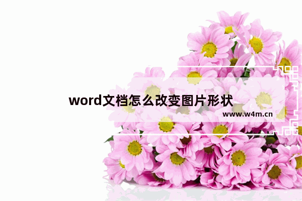 word文档怎么改变图片形状