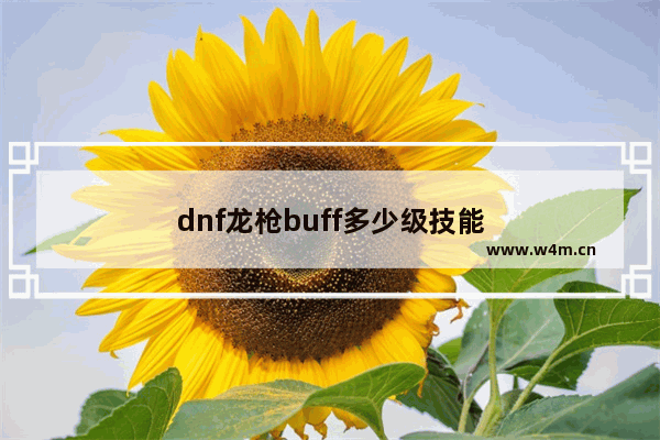 dnf龙枪buff多少级技能