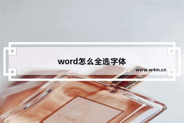 word怎么全选字体