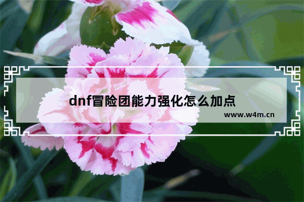 dnf冒险团能力强化怎么加点