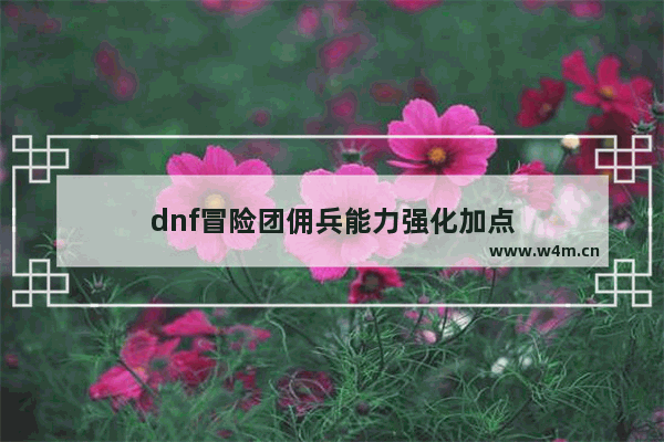 dnf冒险团佣兵能力强化加点