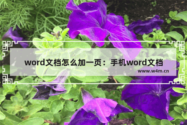 word文档怎么加一页：手机word文档怎么加一页