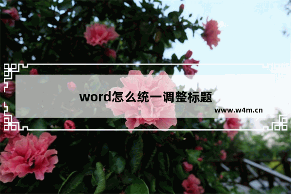 word怎么统一调整标题