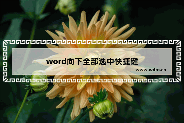 word向下全部选中快捷键