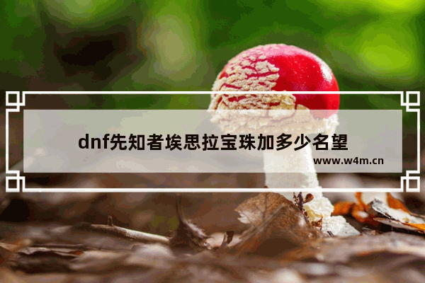 dnf先知者埃思拉宝珠加多少名望