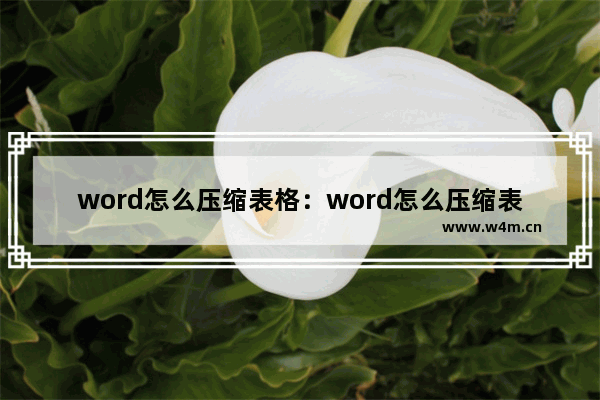 word怎么压缩表格：word怎么压缩表格在一页