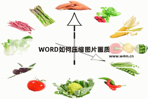 WORD如何压缩图片画质