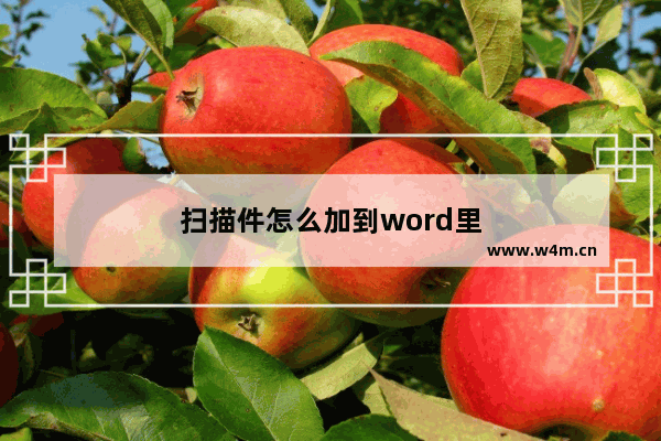 扫描件怎么加到word里