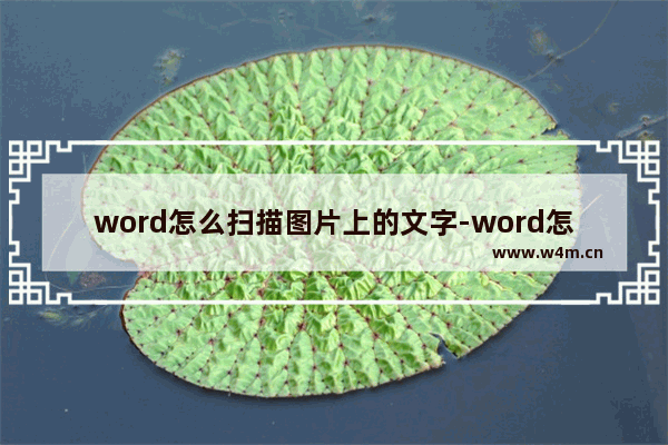 word怎么扫描图片上的文字-word怎么扫描图片上的文字内容