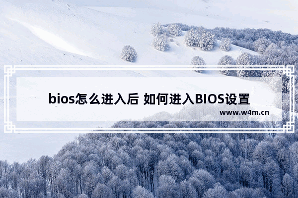 bios怎么进入后 如何进入BIOS设置界面