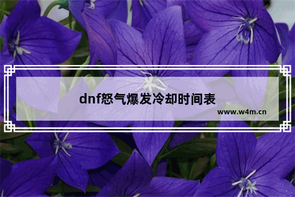 dnf怒气爆发冷却时间表