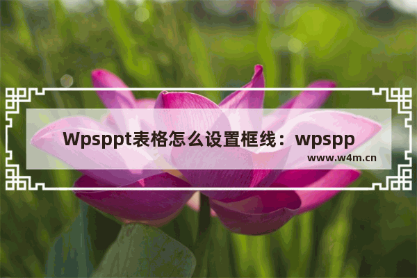 Wpsppt表格怎么设置框线：wpsppt表格怎么设置框线颜色