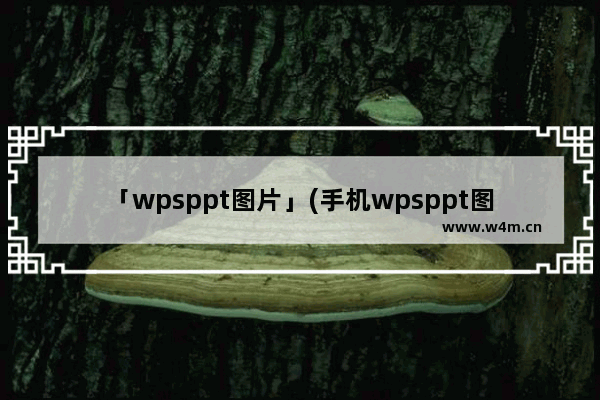 「wpsppt图片」(手机wpsppt图片如何一张一张出现)