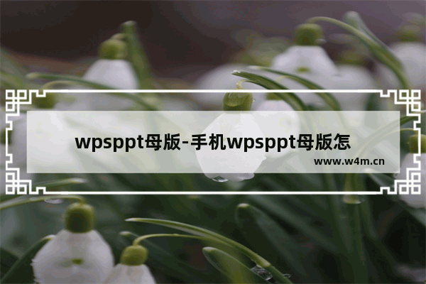 wpsppt母版-手机wpsppt母版怎么修改