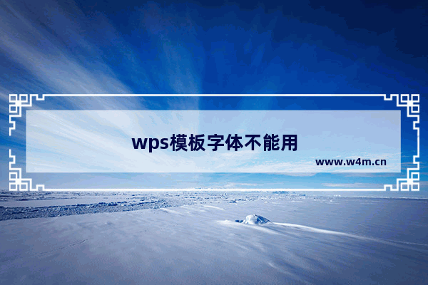 wps模板字体不能用