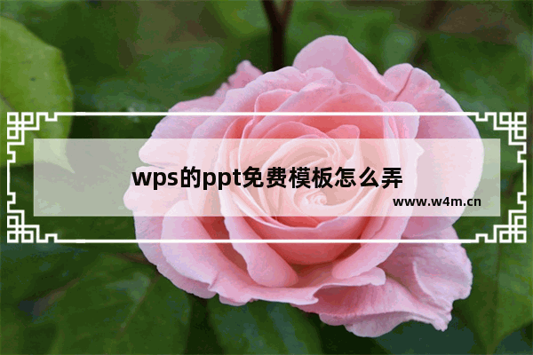 wps的ppt免费模板怎么弄