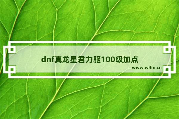 dnf真龙星君力驱100级加点