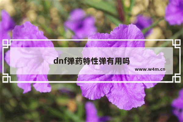 dnf弹药特性弹有用吗