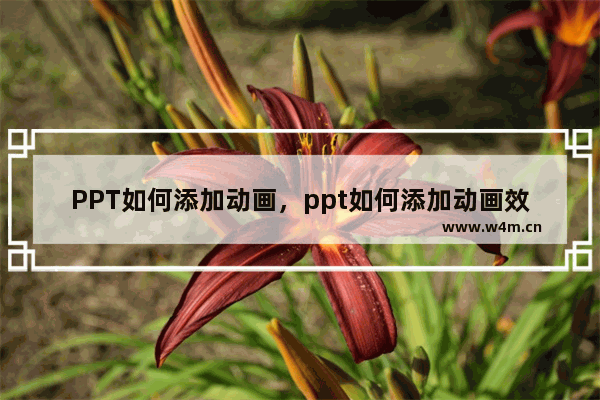 PPT如何添加动画，ppt如何添加动画效果声音