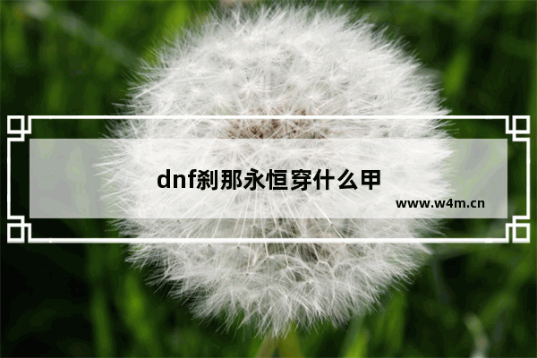 dnf刹那永恒穿什么甲