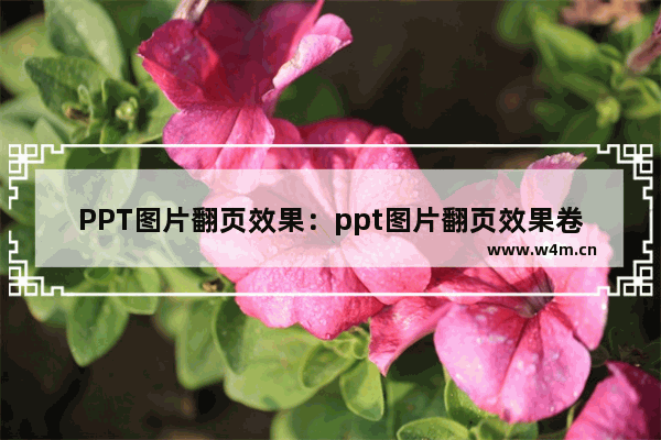 PPT图片翻页效果：ppt图片翻页效果卷曲