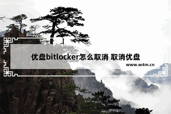 优盘bitlocker怎么取消 取消优盘BitLocker加密，应该怎么做？