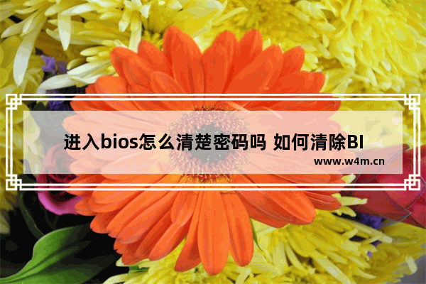 进入bios怎么清楚密码吗 如何清除BIOS密码