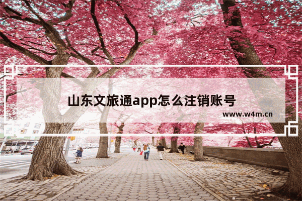 山东文旅通app怎么注销账号