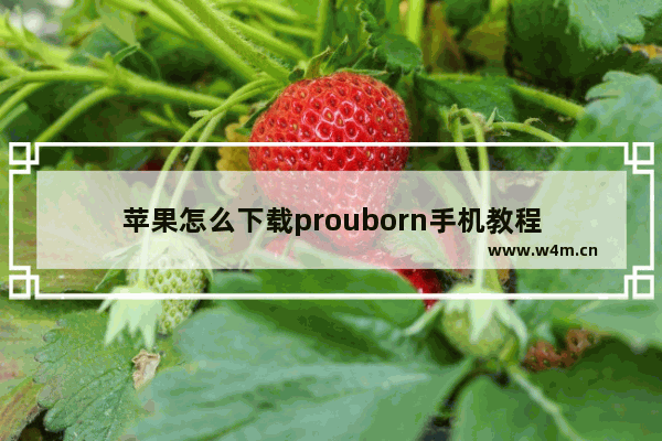 苹果怎么下载prouborn手机教程