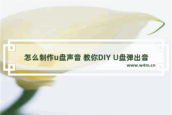 怎么制作u盘声音 教你DIY U盘弹出音效