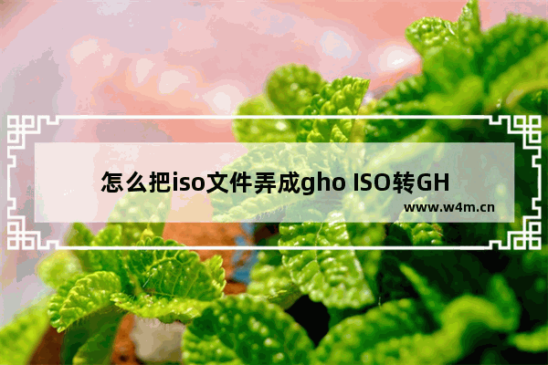 怎么把iso文件弄成gho ISO转GHO实用教程