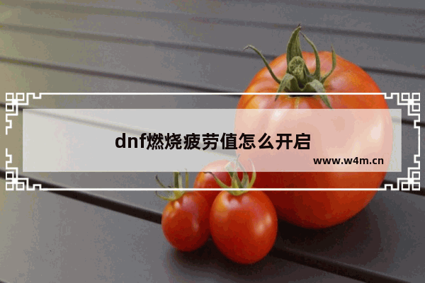 dnf燃烧疲劳值怎么开启