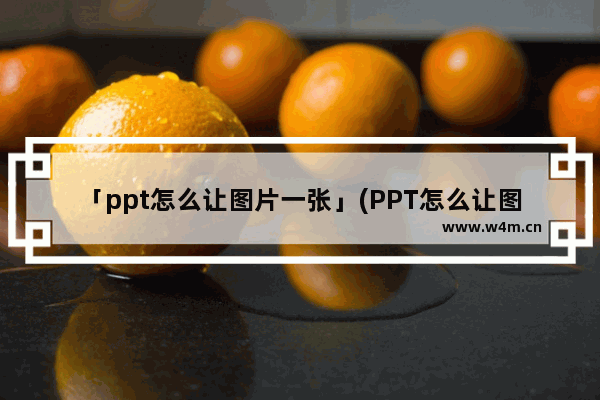 「ppt怎么让图片一张」(PPT怎么让图片一张一张出现又消失)