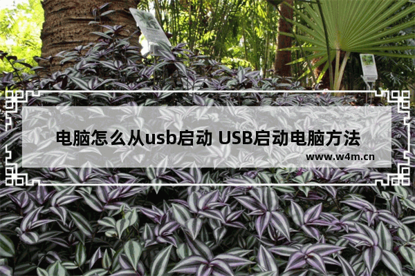 电脑怎么从usb启动 USB启动电脑方法详解