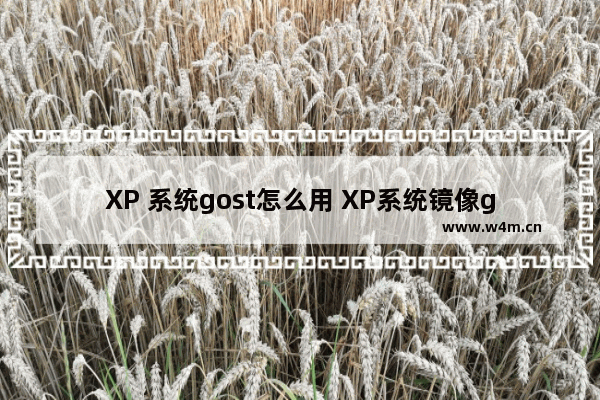 XP 系统gost怎么用 XP系统镜像gost使用方法