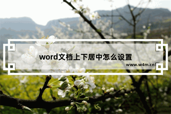 word文档上下居中怎么设置