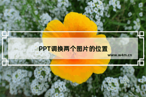 PPT调换两个图片的位置