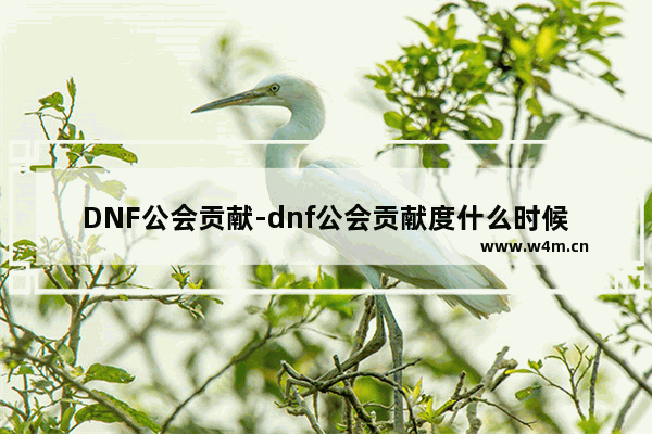 DNF公会贡献-dnf公会贡献度什么时候结算