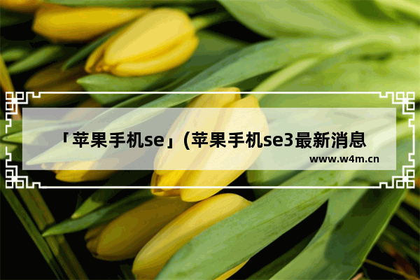 「苹果手机se」(苹果手机se3最新消息)