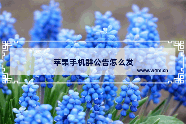 苹果手机群公告怎么发