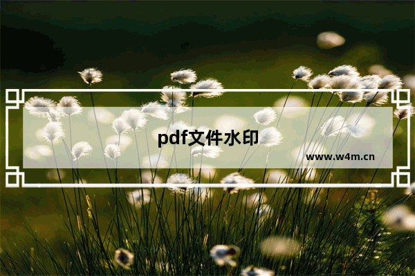 pdf文件水印