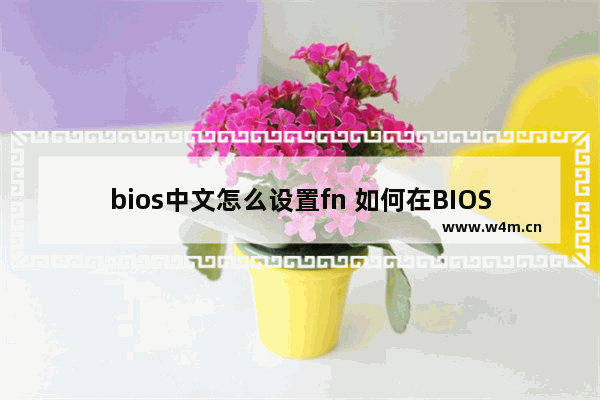 bios中文怎么设置fn 如何在BIOS中设置FN键？