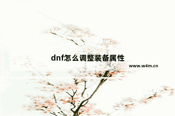 dnf怎么调整装备属性