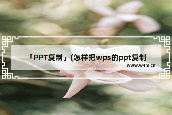 「PPT复制」(怎样把wps的ppt复制到PowerPoint)