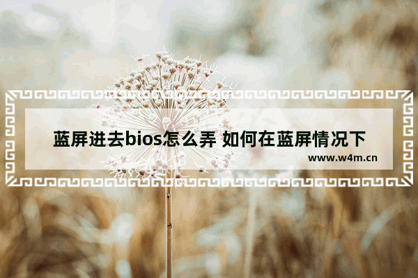 蓝屏进去bios怎么弄 如何在蓝屏情况下进入BIOS？