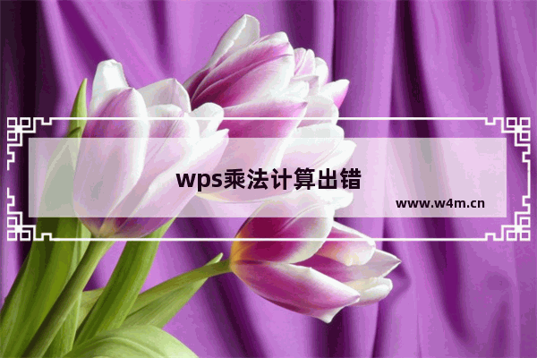 wps乘法计算出错