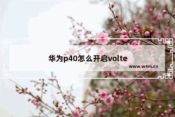 华为p40怎么开启volte